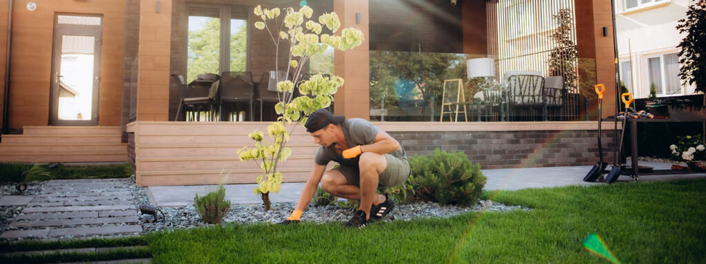 landscaping ideas